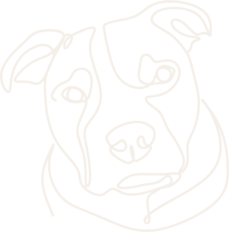 B Mason Law Pitbull-warm cream
